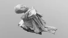 Unearthing Nazca Mumi...