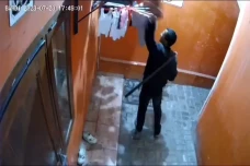 Bawa Senjata Tajam,...