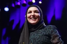 Profil Sinead OConnor,...