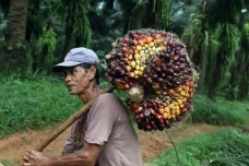 Gara-gara Ringgit Harga...