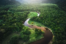 Hutan Amazon Terancam...