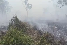 Karhutla Meluas, Kebun...