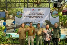 6 Ekor Komodo Dilepaskan...