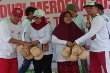 Unik! Warga Majene Persembahkan...