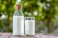 Heboh Susu Kambing Disebut...
