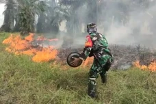Satgas Karhutla Tangkap...