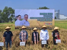 Kementan Pastikan Stok...