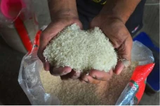 Demi pasokan dan Harga...