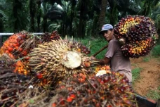 Peringati Hari Tani...