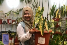 FLOII Expo 2023 Pamerkan...