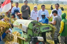 Panen Raya di Indramayu,...