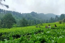 10 Tempat Wisata Sejuk...