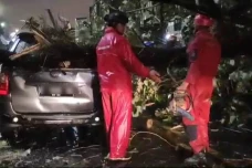 Hujan Angin di Bogor,...
