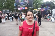 Melanie Subono Naik...