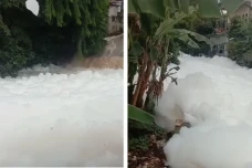 Viral Aliran Kali Baru...