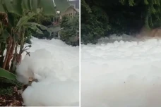 Viral Busa Menggunung...