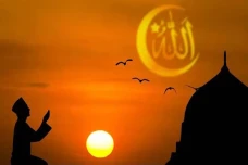Tadabbur Fussilat Ayat...