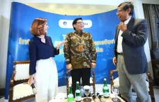 Implementasi Satu Data...