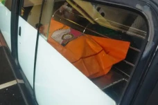 Wanita Muda Tanpa Busana...