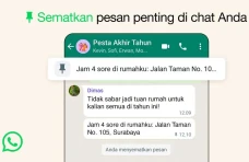 Fitur Sematkan Pesan...