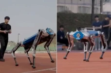 Ini Robot Berkaki Empat...