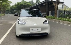 Wuling BinguoEV Resmi...