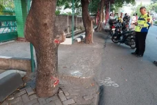 Tragis! Tabrak Pohon,...