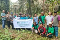 Pendampingan 1.741 Petani...