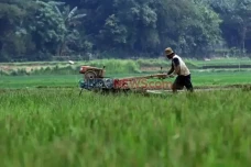 Pemerintah Berhasil...