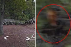 Penampakan Hantu Muncul...