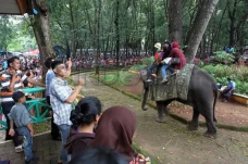 Cara ke Ragunan Naik...