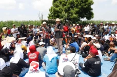 Soal Impor Gula, Ganjar...