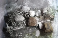 Kerangka yang Diyakini...