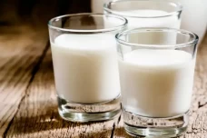 Susu Kambing Lebih Sehat...