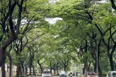 5 Rekomendasi Jalan-Jalan...