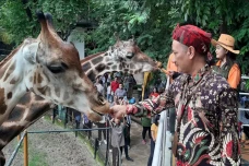 Demi Kenyamanan Pengunjung,...