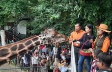 Kunjungi Kebun Binatang...