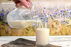 5 Nutrisi Pertumbuhan...