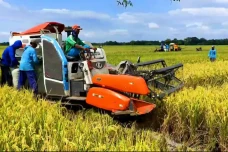 Banjir Beras Impor,...