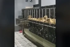 Viral! Ruang Tamu Rumah...