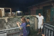 Gempa Bumi Magnitudo...