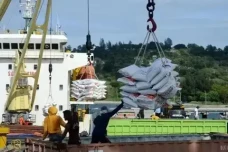 Harga Beras Ugal-ugalan,...