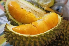 Harimau Ternyata Gemar...