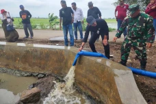 Kementan Optimistis...