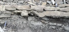 Jejak Fosil Ungkap Kehidupan...