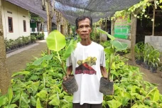 Sosok Mbah Lasiyo, Petani...
