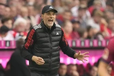 Bayern Muenchen Disarankan...