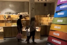 Rekomendasi Wisata Edukasi...
