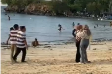 Viral! Wisatawan Pantai...