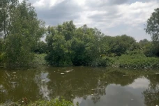 Viral Buaya Muara 3...